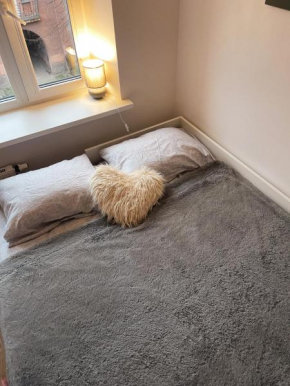 Cosy Mini Studio in Old Town, Klaipeda